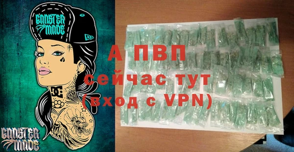 сатива Аркадак