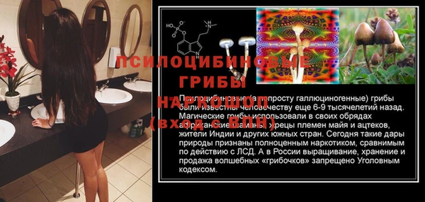 мдпв Балахна