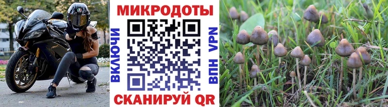 Галлюциногенные грибы мухоморы  купить наркотик  Няндома 