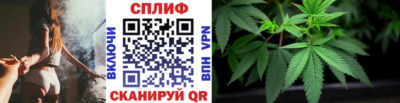 купить наркотик  Няндома  Бошки Шишки White Widow 